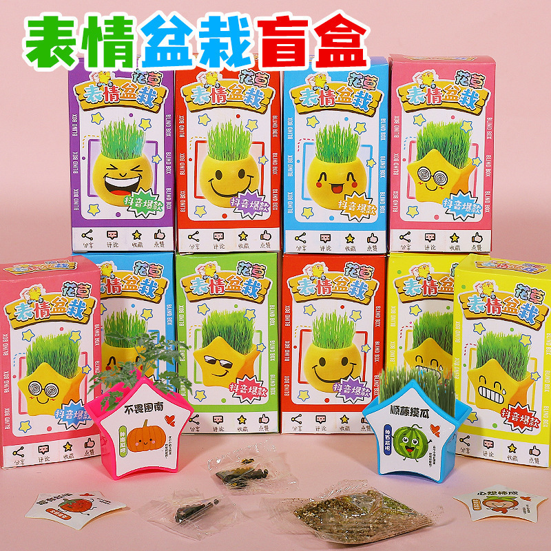 10 boîtes de bonsaïs surprises d'expressions faciales