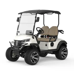 Preço barato atrativo Off Road Golf Cart 2 Seater 5Kw Ac Motor Carrinho de golfe elétrico com piso de alumínio