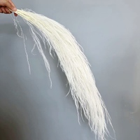 Vente directe d'usine préservé ruée alpine chinoise saule herbe plume herbe longue pierre herbe mariage décoration douce