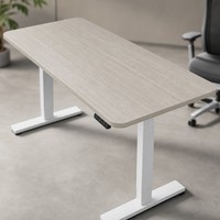 Bureau électrique silencieux en bois AOR, double usage, assis-debout, pour le travail, l'apprentissage et l'informatique, extensible, couleur personnalisable