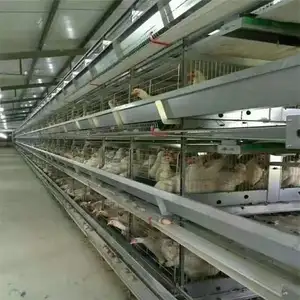 פופולרי מפעל סיטונאי גדול לול מתכת עוף כלוב