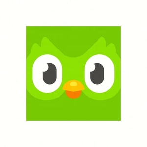 Cuenta Premium de Duolingo Pro, 1 Año, Aplicable Globalmente, Activa Tu Propia Cuenta - Product Image 4