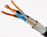 Câble de contrôle d'instrumentation en cuivre flexible avec isolation en PVC Kvvr/Kvvrp/Kvv/Kvvp/Kvv22