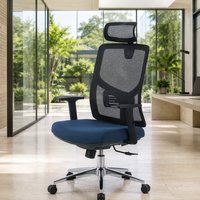 Chaise de bureau contemporaine confortable pour une utilisation prolongée, dossier en maille, hauteur réglable, chaise ergonomique