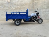 Tricycle de fret auto-basculant ouvert 200cc à essence, certifié CEE, 1 passager, pratique et économique, modèle 2025, vente chaude en Chine