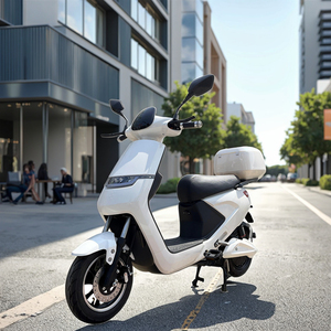 Motocicleta Eléctrica con Pedales, Certificada por la CE, 1000W, 48v, 20Ah - Product Image 2