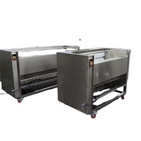 Commerciële automatische fruit- en groentereinigings- en schilmachine met motor