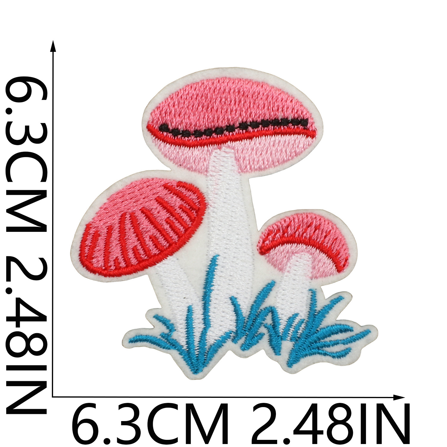 N25741