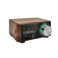 Mini lecteur MP3 sans perte RUIZEINC HiFi Fever avec amplificateur numérique de classe D 80W*2 DC9V-24V Interface USB Accessoire audio