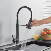 Keran Dapur Modern Satu Tuas Satu Tarikan Model Sprayer Mixer Air Panas Dingin Stainless Steel Warna Hitam Es untuk Hotel, Mal, Rumah Sakit