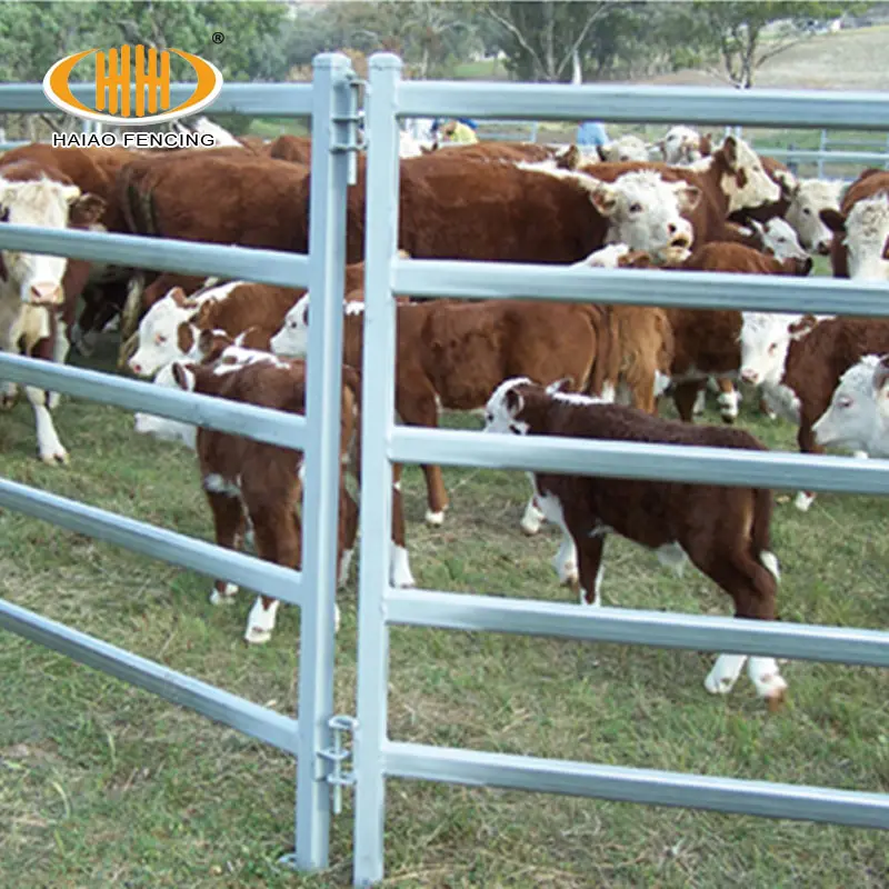 Fonte da fábrica de alta qualidade austrália padrão 12ft quintal fazenda de gado vaca gado galvanizado painéis de vedação para venda