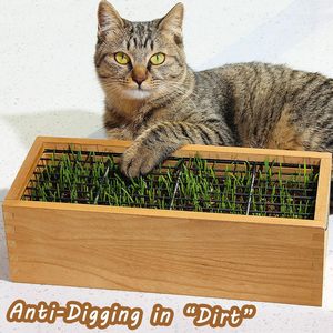 Indoor Grass Grow Plant <b>Garden</b> Kit Aged Yellow Removable Plastic <b>Liner</b> Grid Potting Soil Disks Set for Pet Growing - Product Image 3