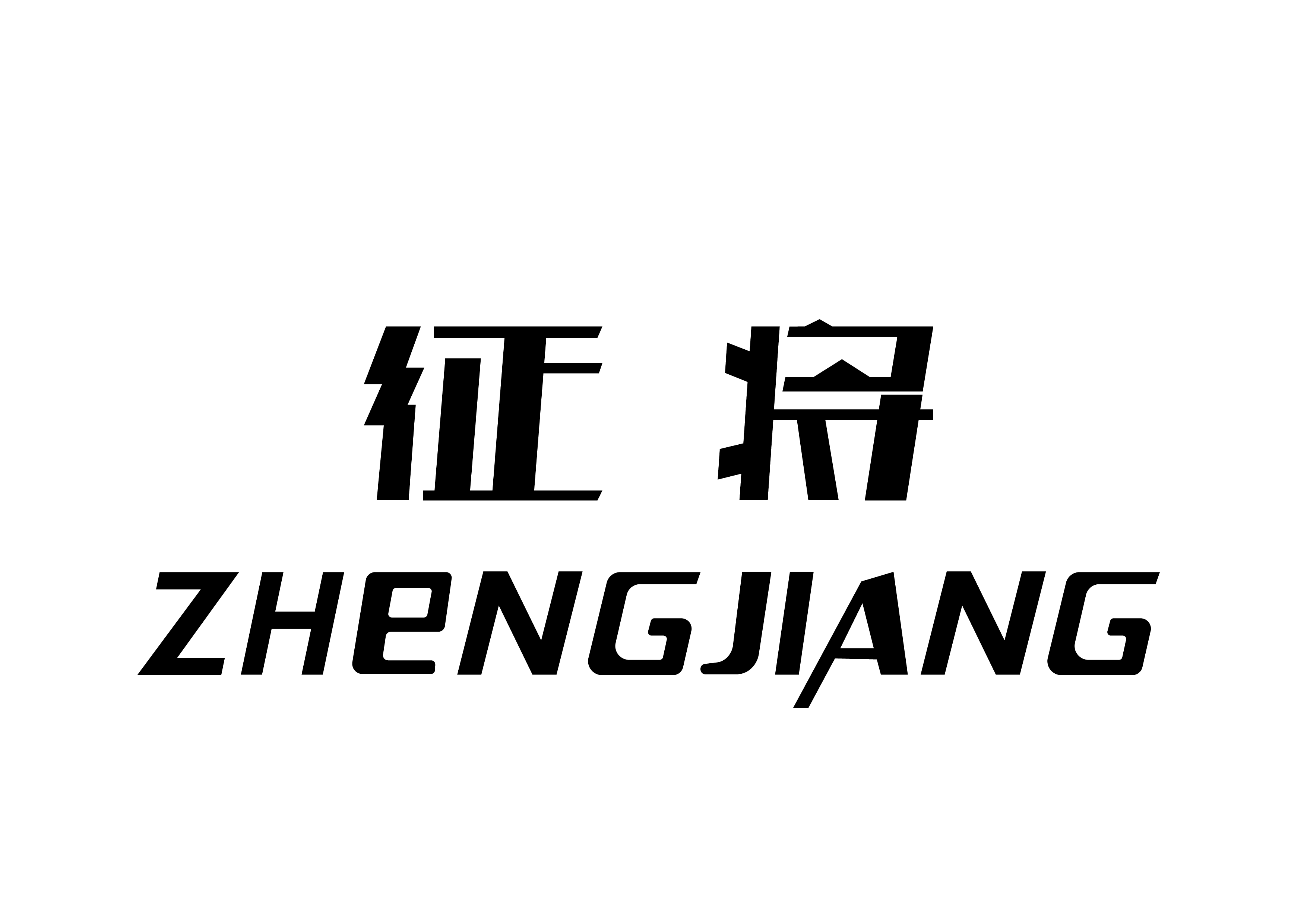 Wenzhou Shijia Automotive Supplies Co., Ltd. logo