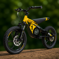 Moto électrique tout-terrain pour enfants, cadre en aluminium de 16 pouces, 36V, 2 vitesses, pneus à crampons, motocross pour enfants, fournisseur