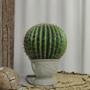 Cactus Artificiale SJ di Alta Qualità, Altamente Realistico ed Ecologico, 50cm, Prezzo di Fabbrica - Product Image 3