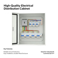 Boîtier de distribution vide IP54, étanche pour extérieur, en métal, taille personnalisée, acier laminé à froid, certifié CE ISO9001