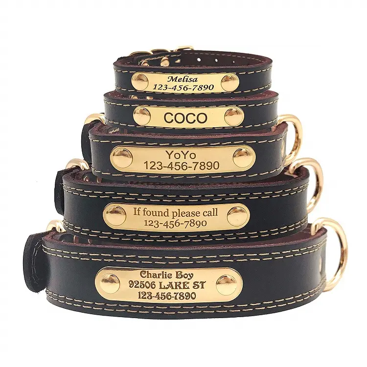 Leather Dog Collars with nameplate