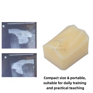 Module de ponction thyroïdienne guidée par ultrasons, modèle d'entraînement à l'anatomie humaine - Product Image 2