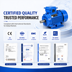 Moteur IE3 Bioté YE3-100L2-4 3kW 380V 4 pôles, fil de cuivre 100%, triphasé IP55/IP66 50/60Hz pour pompe à eau, compresseur d'<span class=keywords><strong>air</strong></span>, convoyeur - Product Image 4