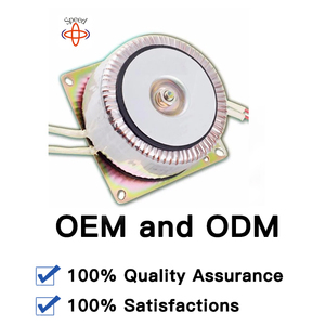 ODM Service Custom ized 11KW 10kw 100V 1k bis 4k 24V 10a 240V AC bis 12V DC Reine Sinus welle Step Up Down Ringkern transformator - Product Image 6