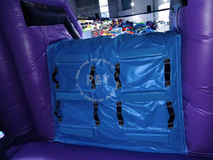 Thương Mại <span class=keywords><strong>Inflatable</strong></span> Bouncer Con Báo Đen Ướt/Khô Combo Bouncy Nhảy Lâu Đài Nhà Bị Trả Lại Trượt Nước Hồ Bơi Cho Đảng Cho Thuê - Product Image 4