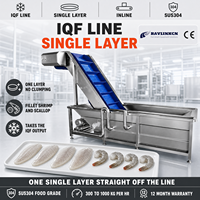 Ligne IQF Enrobeuse Industrielle de Glace pour Fruits de Mer Acier Inox 304 Passage Monocouche Filets de Poisson Glazurage