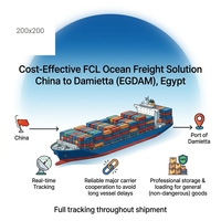 Transport maritime FCL économique, service d'expédition de conteneurs de la Chine à Damietta EGDAM Égypte
