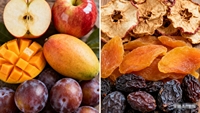 Tendance Actuelle : Four de Séchage Alimenté par une Source de Chaleur, Déshydrateur Mobile et Séchoir à Fruits Portable pour Applications Industrielles