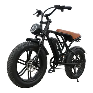 20 Inches 750W 48V Electric Dirt Bikes Electric Fat Tire Bike Full Suspension Electric Bike