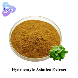 Extrait naturel d'<span class=keywords><strong>hydrocotyle</strong></span> (Centella Asiatica) CAS 84696-21-9, incluant Asiaticoside, Acide Snowdrop, Madecassoside, Glycosides totaux - Product Image 3