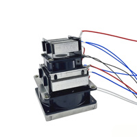 Ventilateur Chauffant Axial Électrique PTC à Haute Température en Plastique, Vente Directe Usine, pour Incubateur d'Œufs et Équipement d'Élevage Avicole OEM/ODM