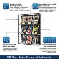 Vitrine murale en acrylique grande capacité pour cartes gradées avec porte pour cartes sportives – Fabrication sur mesure