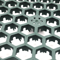 Prix d'usine pavé en plastique grille d'herbe grille en plastique allée de gravier grille d'herbe de parking