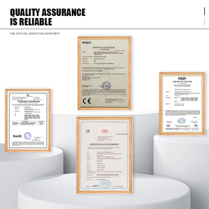 G-2115 <span class=keywords><strong>Sneakers</strong></span> da Donna in Cotone Foderato in Tessuto, Scarpe da Passeggio alla Moda Stile Calzino con Soletta in PVC, Tendenza Primavera/Autunno - Product Image 5