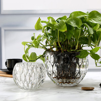 Vase en verre créatif transparent à pois, boule de cristal pour table, fleurs hydroponiques, décoration de mariage