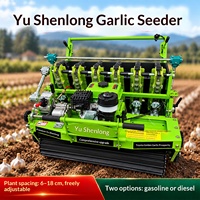 Nouvelle Semoir à ail entièrement automatique de précision avec conception renforcée, fonctionnement manuel, garantie 1 an, fabriqué en Chine