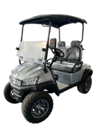 Voiturette de golf classique 2 places homologuée pour la route, tout-terrain, buggy de golf électrique avec contrôleur, moteur AC, buggy de plage