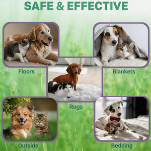 <span class=keywords><strong>Spray</strong></span> <span class=keywords><strong>anti</strong></span>-puces et tiques à marque privée, protection antiprurigineuse pour animaux, défense naturelle écologique contre les parasites, <span class=keywords><strong>spray</strong></span> cutané <span class=keywords><strong>anti</strong></span>-inflammatoire, Chine - Product Image 3
