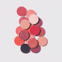 Palette de fard à joues en poudre imperméable de haute qualité, effet maquillage, format voyage pour le visage, tons de peau clairs, logo personnalisable