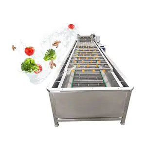 Hot Selling Bubble Fruit Wasmachine Sardine Tonijn Groente-en Reinigingsmachine