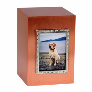 Caja de urna de madera de nuevo diseño de estilo americano moderno para cenizas de mascotas de gato y perro urnas funerarias de cremación de madera con nuevo estilo - Product Image 1