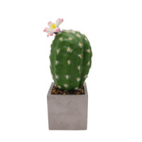 Tizen Faux Plantes Plante Artificielle En Pot Petit Désert Cactus Artificiel Simulé Plantes Vertes