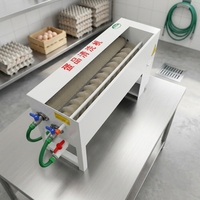Nouvelle Laveuse d'œufs Commerciale Automatique Multifonctionnelle avec Brosse pour Œufs de Poule/Canard/Oie 110V/220V