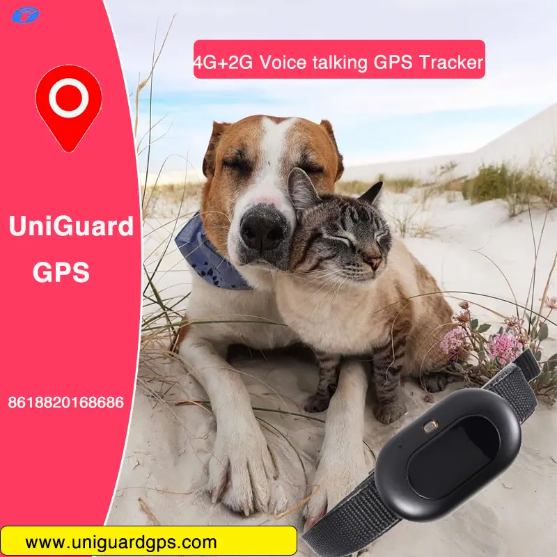 Smallest Pet GPS tracker collar gps para mascotas with wifi LBS Glonass Beidou GPS Two way voice speaking dog training tracker