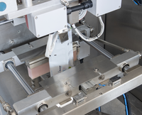 Machine d'emballage verticale automatique pour sachets de poudre de cannelle, de sarrasin et de manioc avec détecteur de métaux