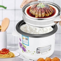 Autocuiseurs Électriques Rapides Antiadhésifs Tout-en-un pour la Maison, Capacités 2L, 3L, 4L, 5L