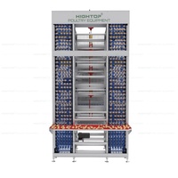 Équipement d'Élevage Avicole : Cages à Poules Pondeuses Automatiques Type H avec Système de Ramassage des Œufs et d'Évacuation du Fumier