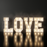 Lettres lumineuses LED personnalisées, grandes lettres de marquee, éclairage LED, lettres lumineuses pour mariage, fête