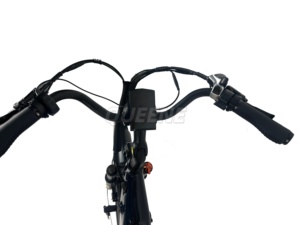 Bicicleta Eléctrica Ligera con Motor Trasero de 48V 500/750W, 27.5', Urbana, para Venta al Por Mayor - Product Image 2