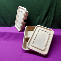 Emballage en pulpe de papier biodégradable, boîte à lunch alimentaire, fruits, légumes, agriculture, qualité alimentaire, sécurité et fonction de stockage aseptique